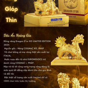 ruou-rong-2024-rong-vang-giap-thin-dragon-dor-xo